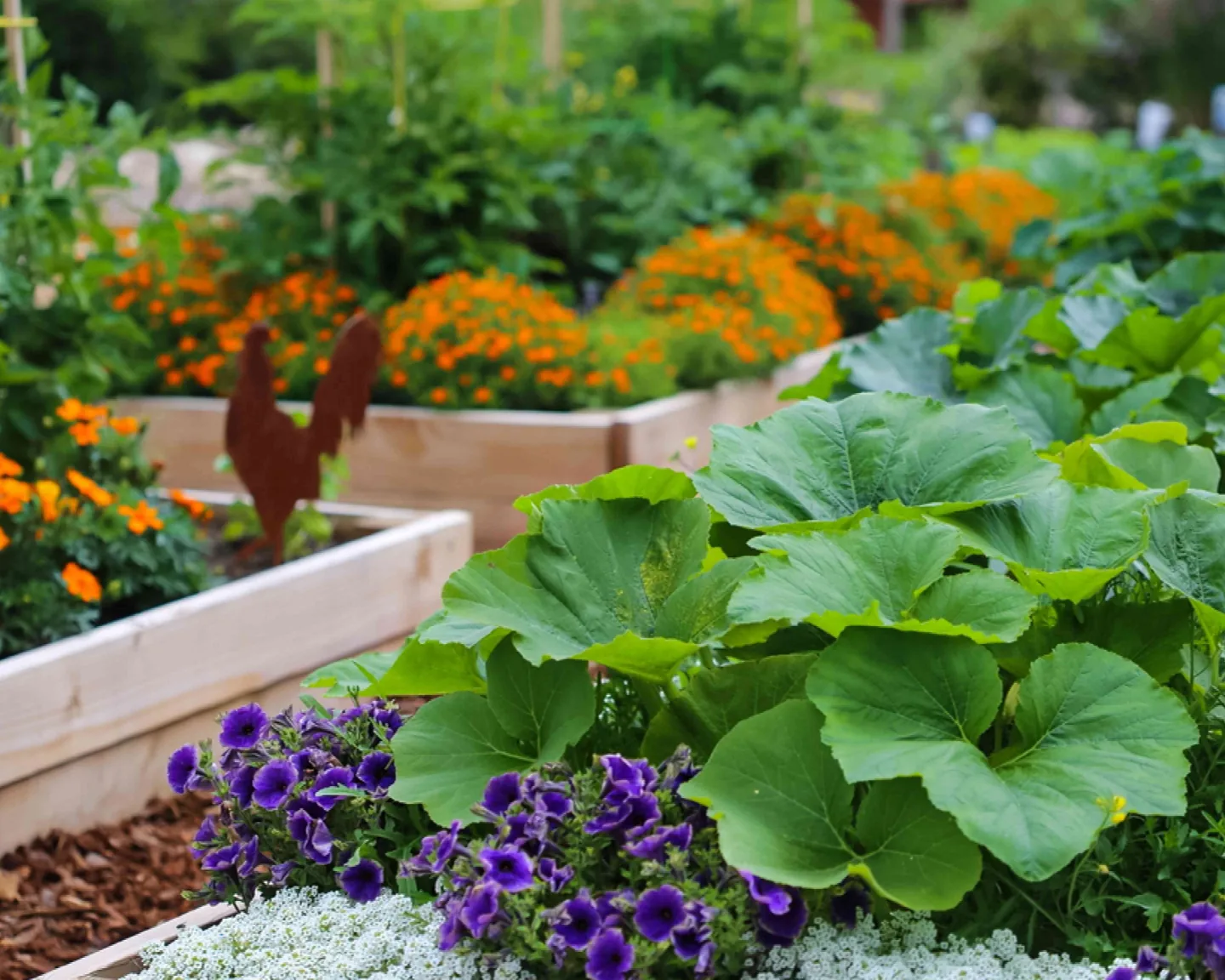 Gardening